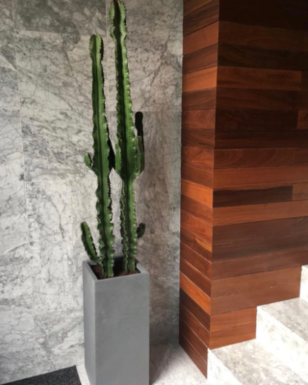 Diseño de interiores vivienda